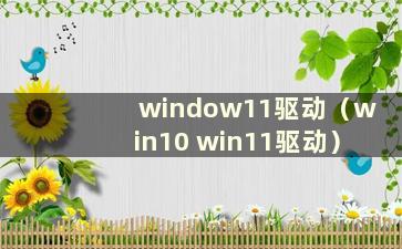 window11驱动（win10 win11驱动）